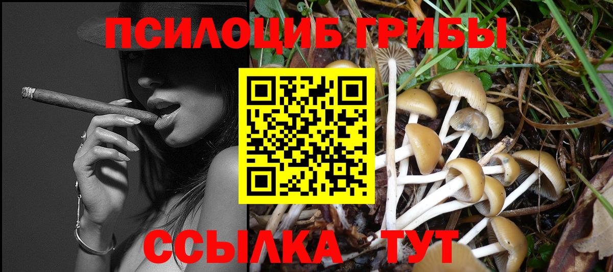 Большой Камень  Псилоцибиновые грибы мухоморы  Вход с VPN  Псилоцибиновые грибы MAGIC MUSHROOMS 